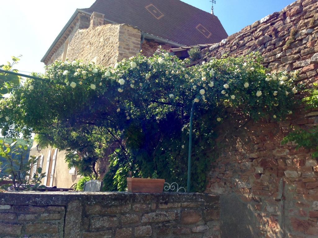 Le Vieux Chateau Leynes Exterior foto